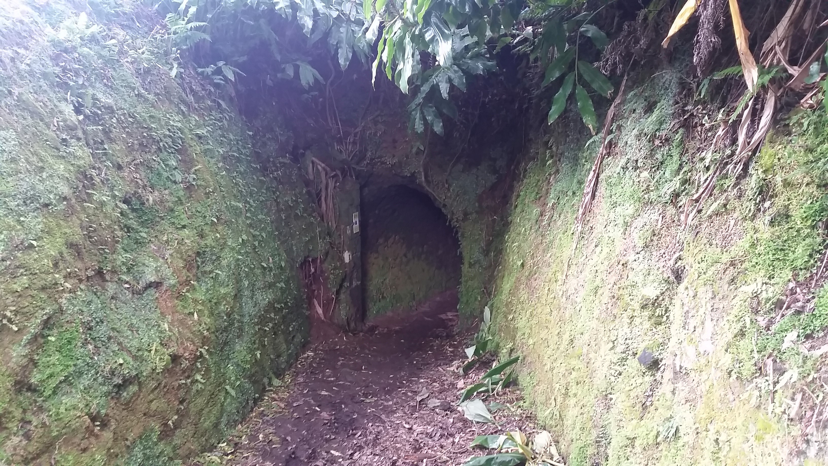 Túnel no passeio
