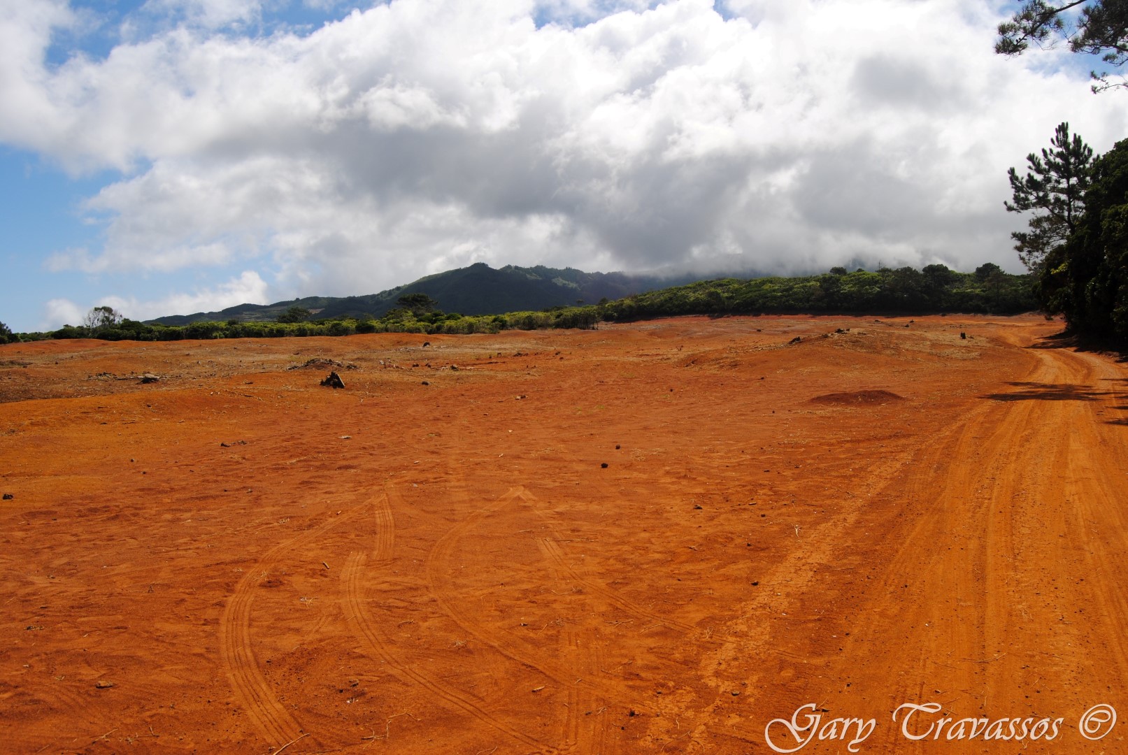 Barreiro da Faneca (red clay soil)
