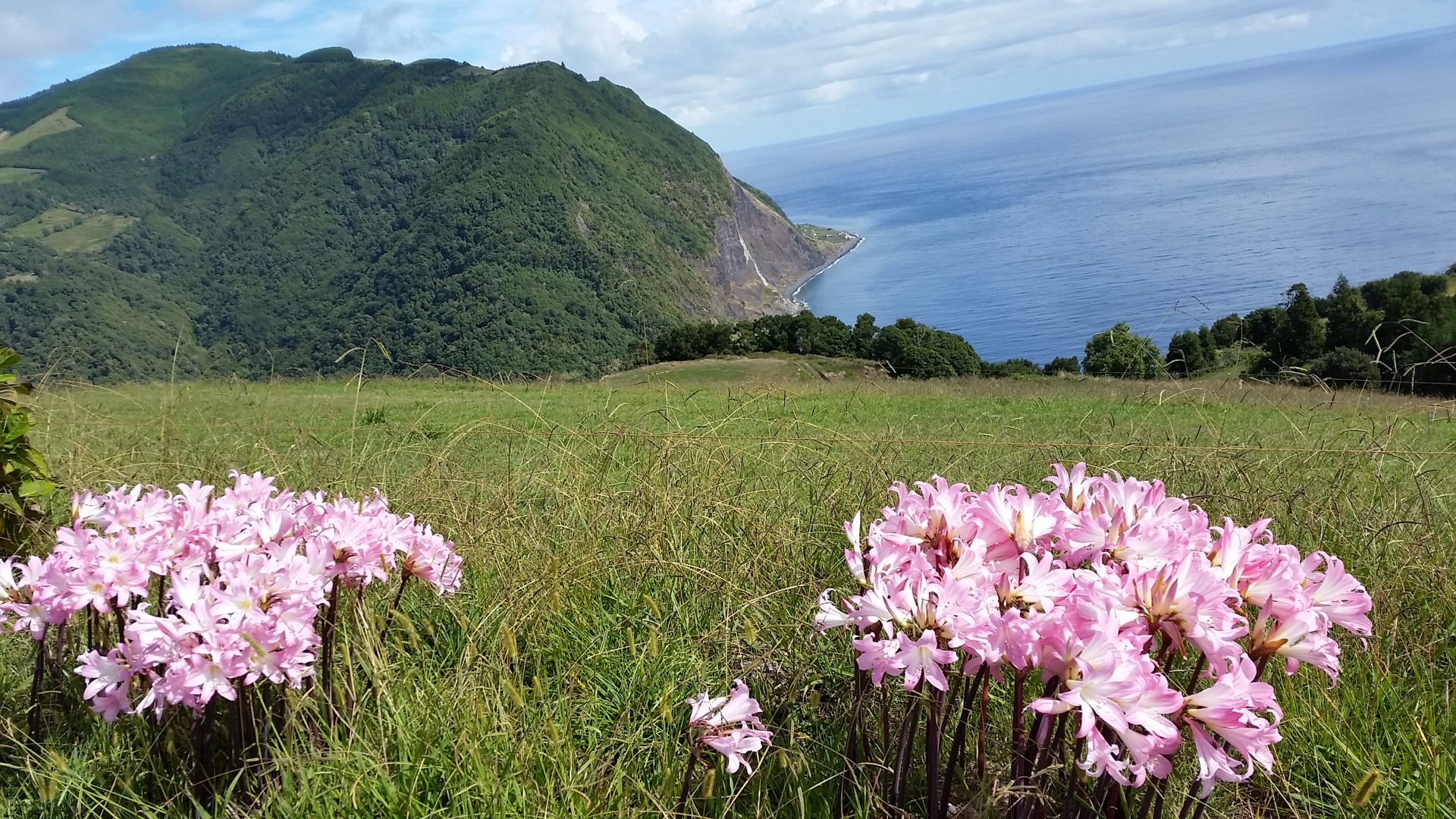 Trajeto ao ir para ao Faial da Terra
