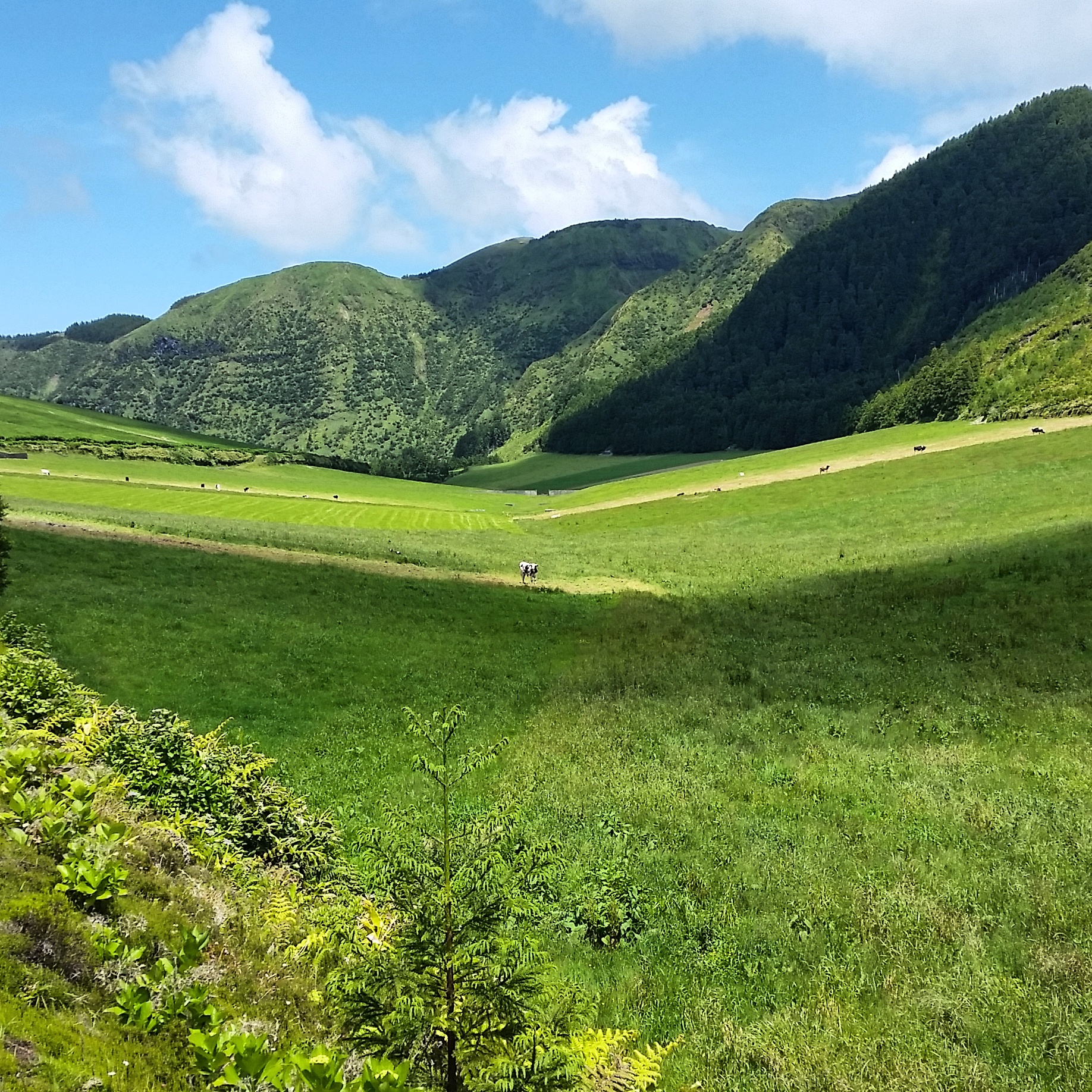 Vale das Sete Cidades