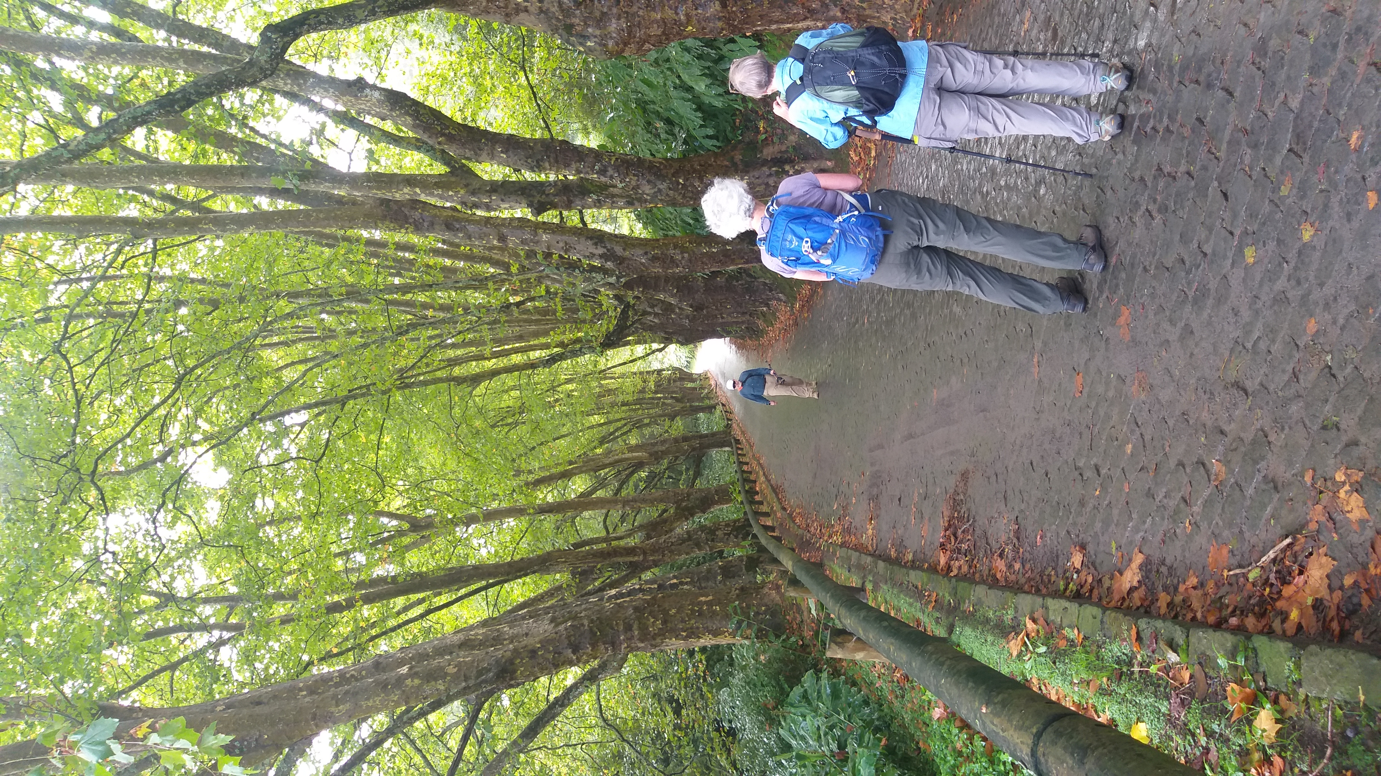 Caminho empedrado no trilho do Salto do Cabrito