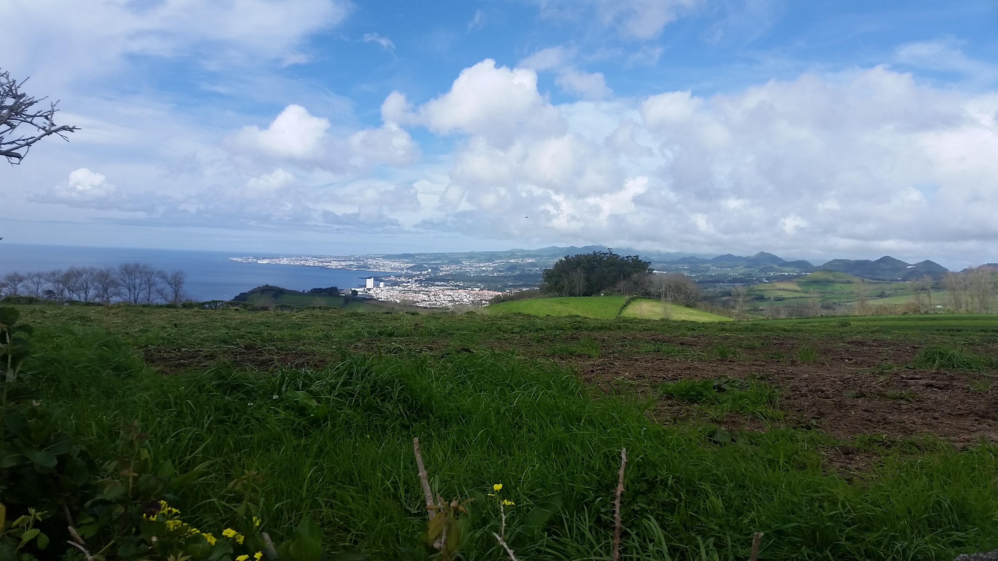 Cenário da Costa Sul