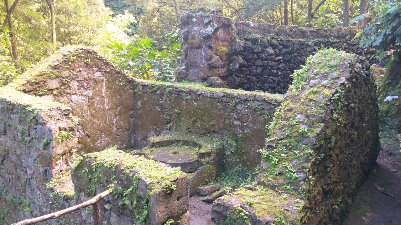 Ruínas do Moinho do Félix