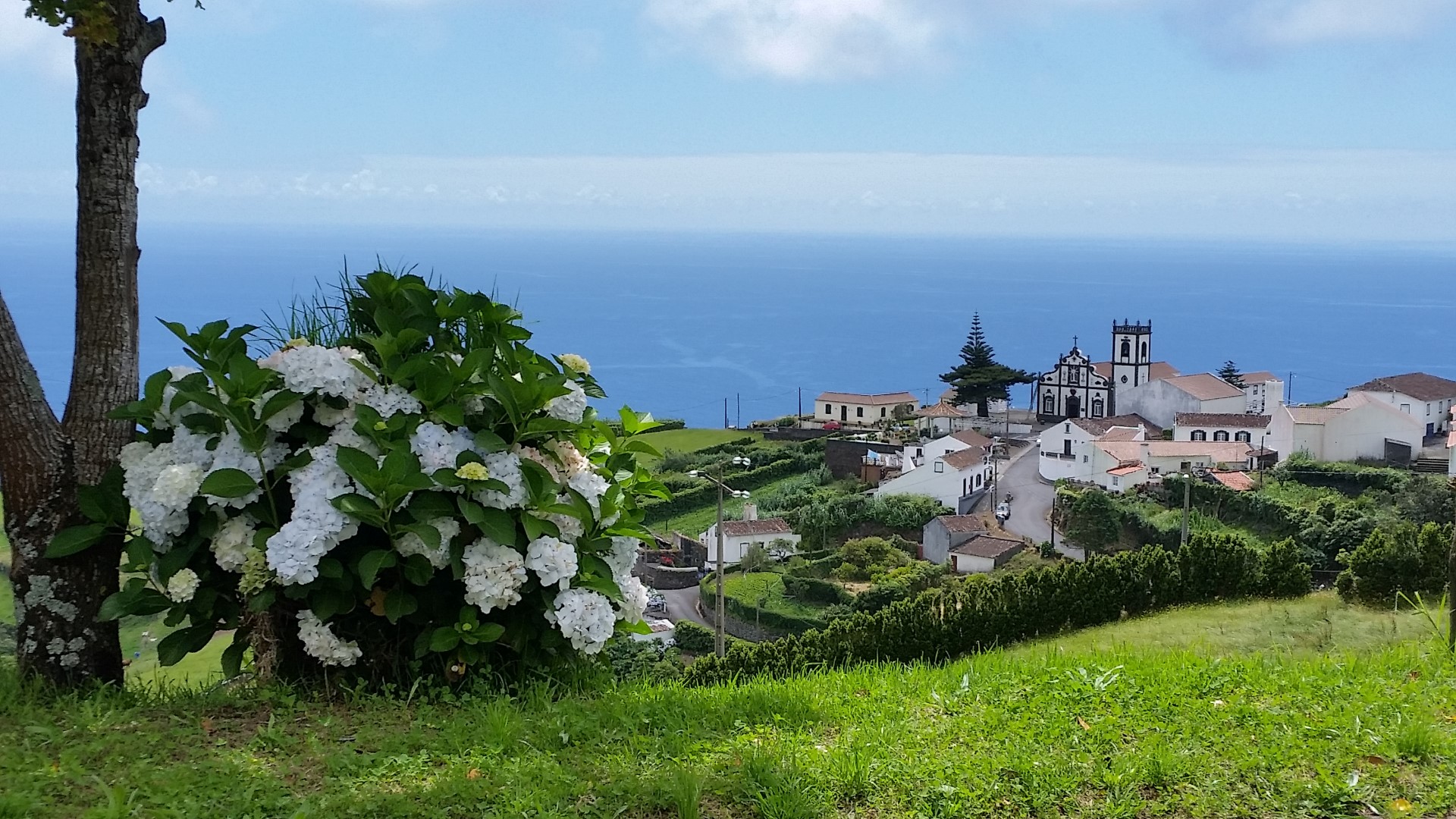 Freguesia da Pedreira