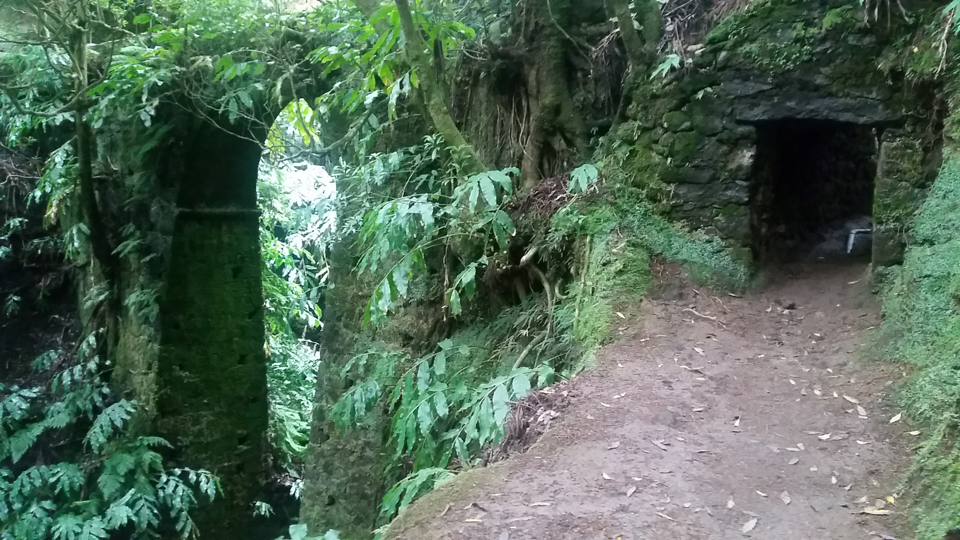 Túnel durante o trilho