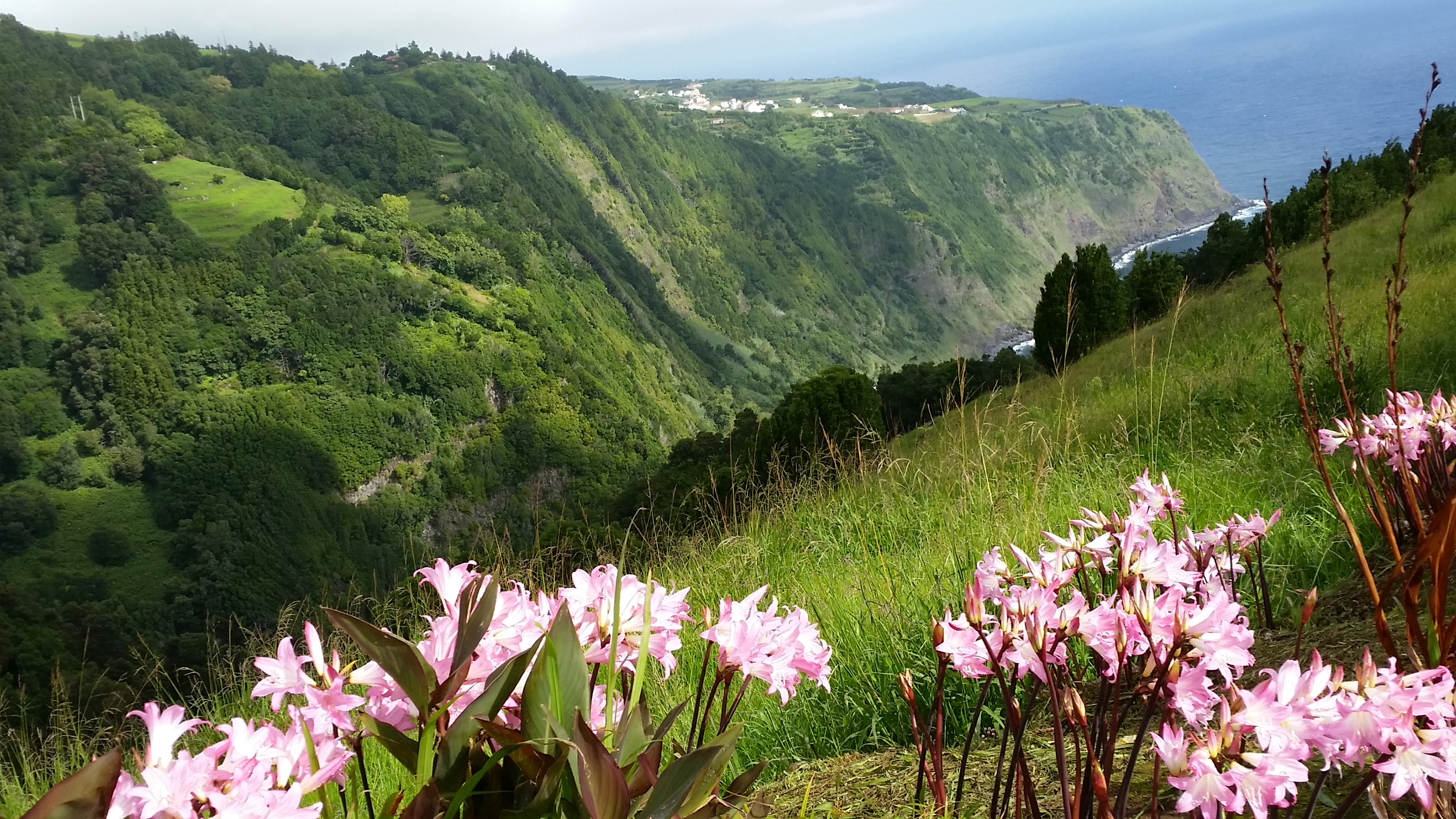 vista da Ponta da Madrugada